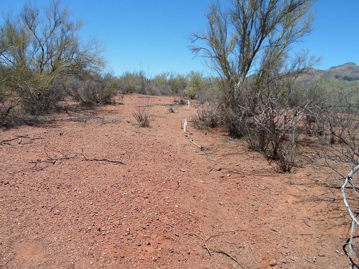 Gold Exploration Project Access - Evident Mineralized Surface