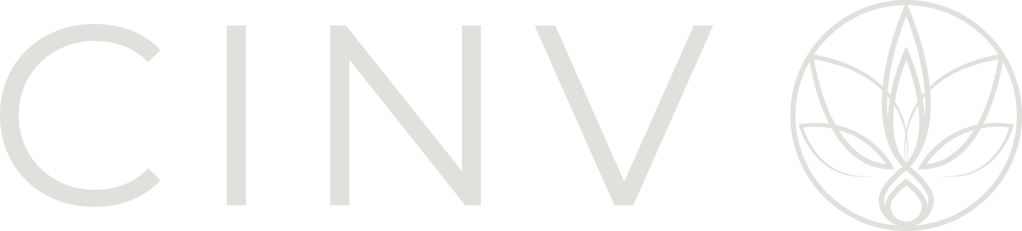 cinv-logo-side-light-2048x464.png