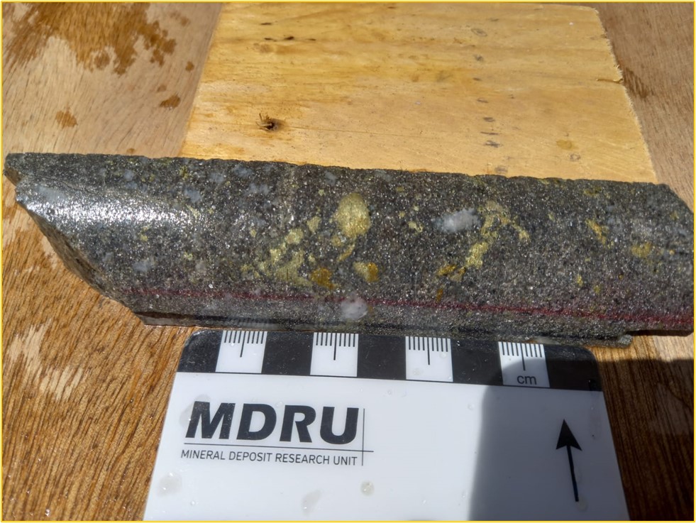 Drillhole 22MT038: Blebby and disseminated chalcopyrite with trace pyrite hosted within pervasively hydrothermally altered granodiorite breccia from 344.59 metres. Sample grades 3.95 g/t gold, 34.20 g/t silver, and 0.92% copper over 0.74 metres from 345.50 metres.