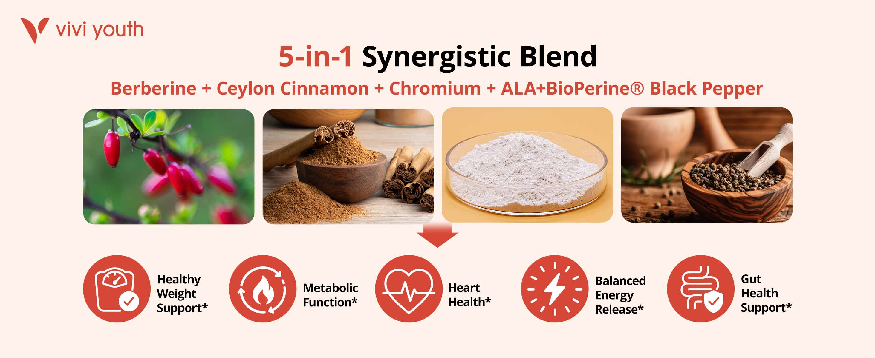Infographic showing ViViYouth five-in-one berberine ceylon cinnamon blend with ingredient photos and daily wellness benefit icons.