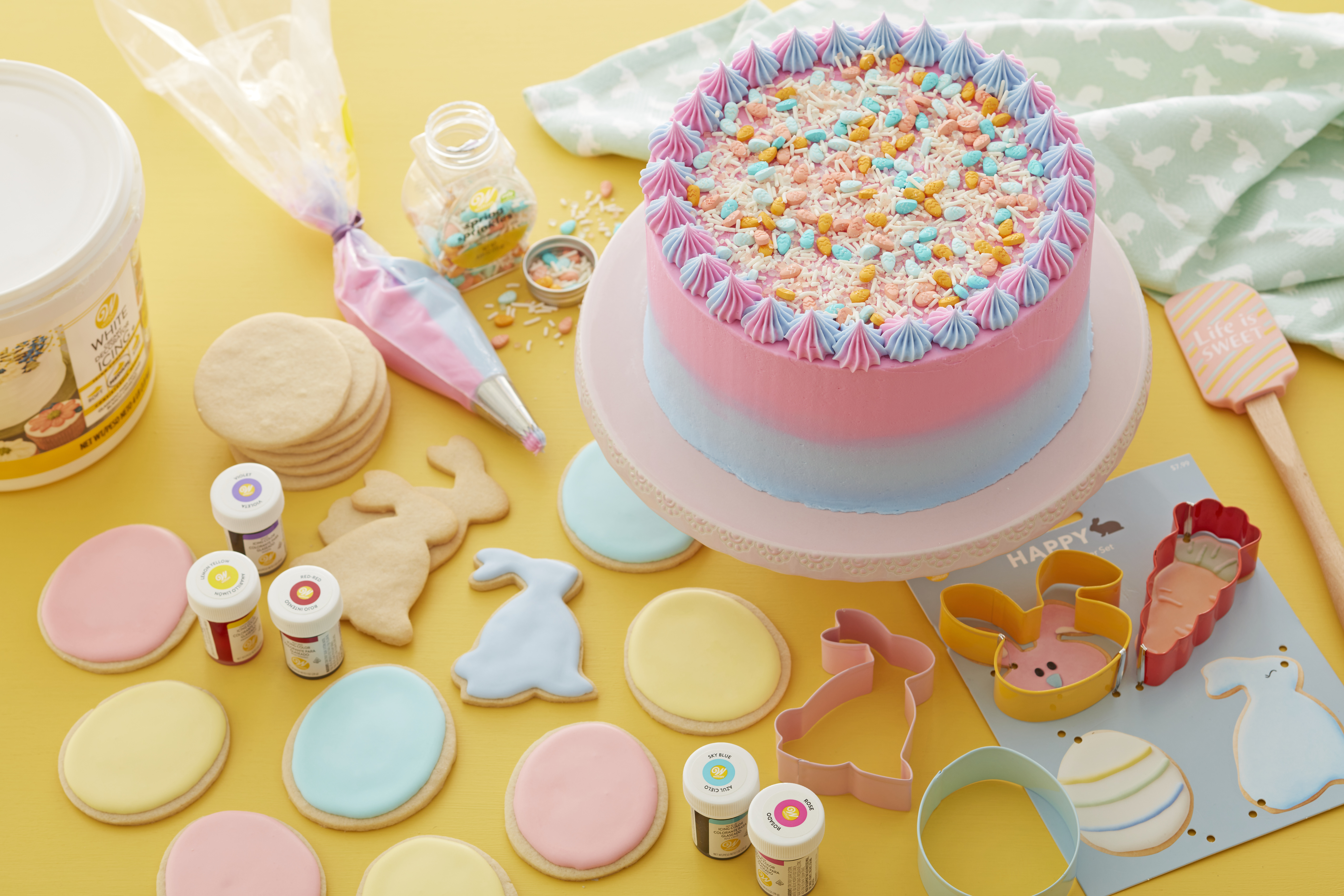 Wilton beginner clearance cake decorating kit