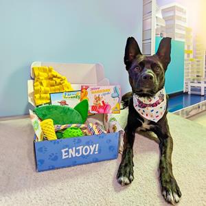 DuraPaw Monthly Dog Subscription Box for Enrichment