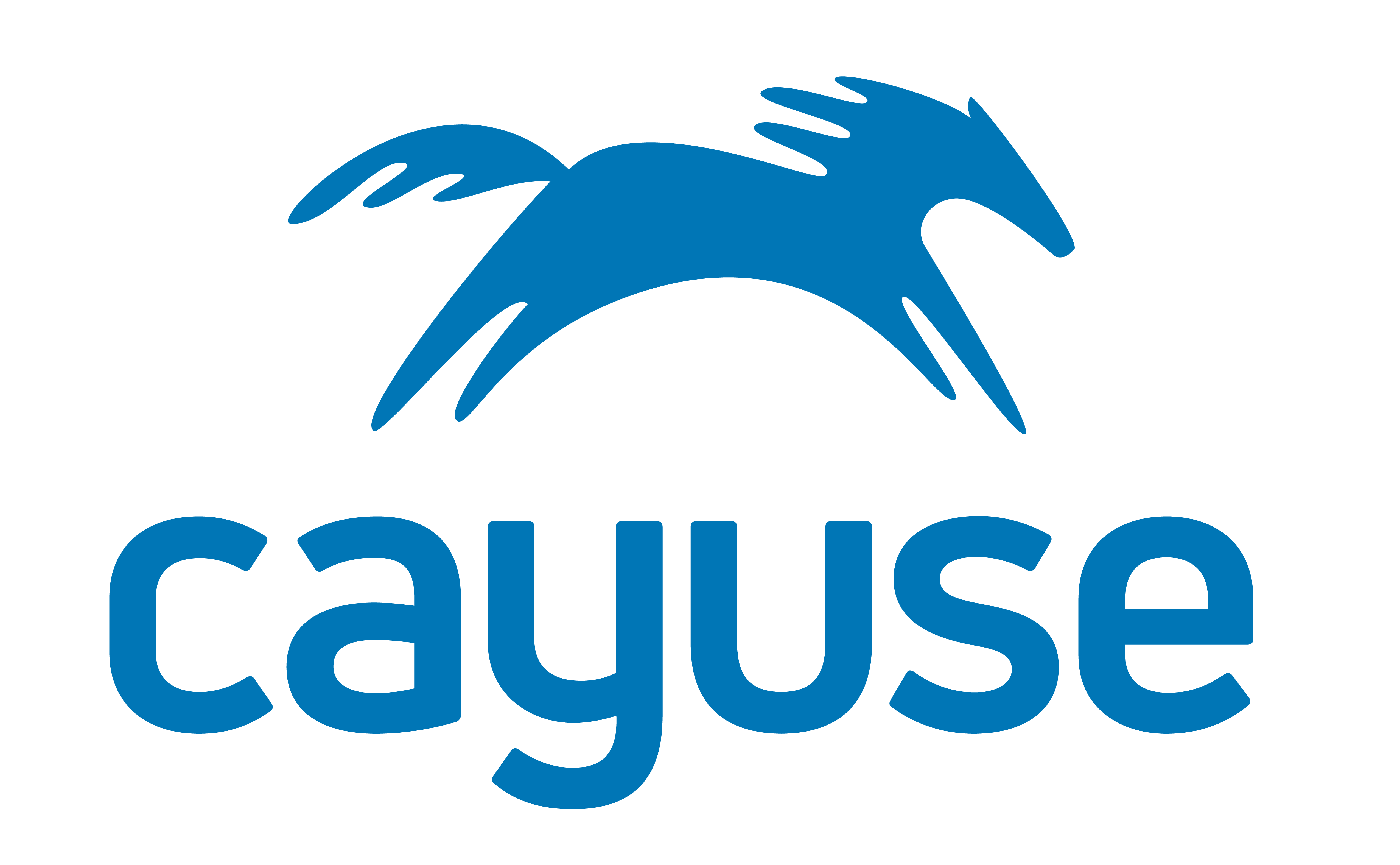 Celebrating Cayuse’s