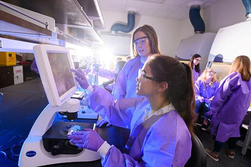 Inside the Wanek School of Natural Sciences, students utilize innovative lab equipment for hands-on learning to prepare them for the future.