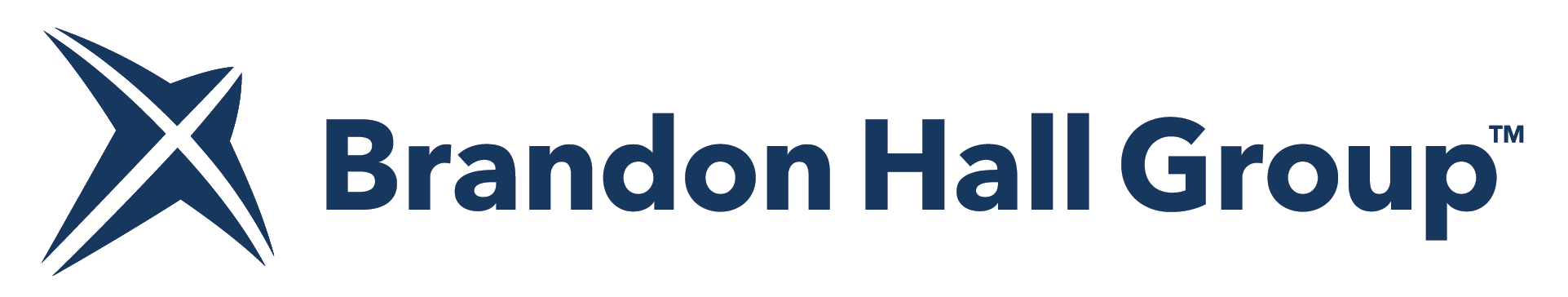 Brandon Hall Group t