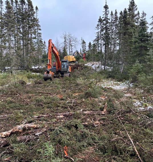 RPM Zone Southern Access Trail (Started January 2025), providing efficient and direct access for Phase 2 drilling program.