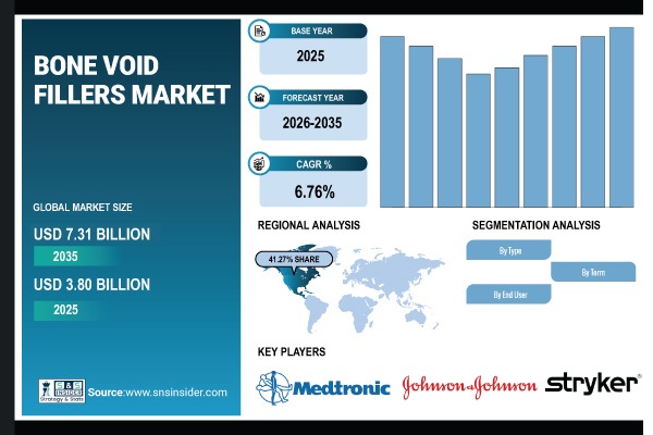 Bone Void Fillers Market