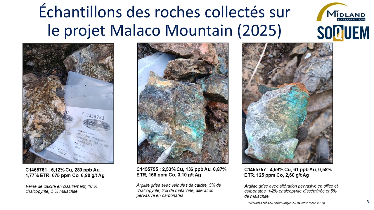Figure 3 Échantillons de roches collectés sur le projet Malaco Mountain (2025)