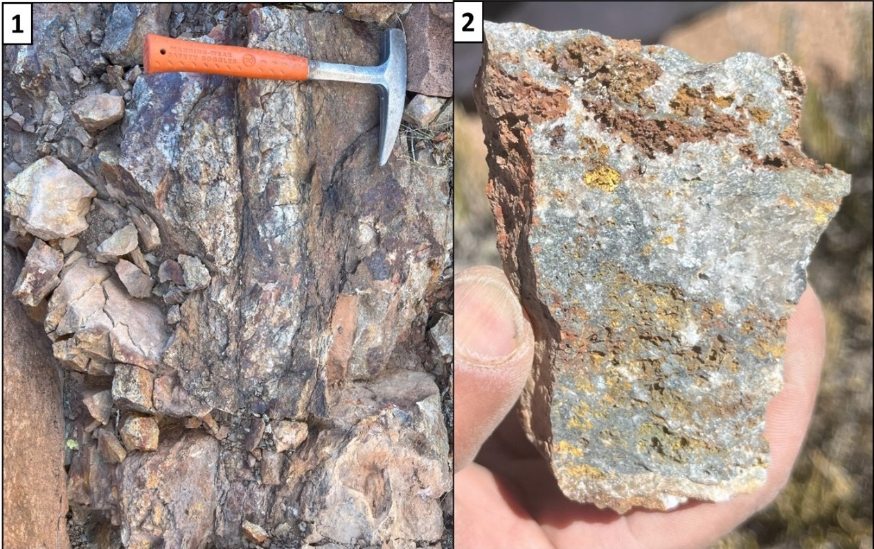Photographs from the current Veta Rica sampling program (locations in Figure 4): (1) low sulphidation epithermal quartz vein hosted in strongly sericite-altered granodiorite. (2) ) Quartz vein displaying strong boxwork texture (hematite and jarosite) after weathered sulphides. Assays for both sites pending.