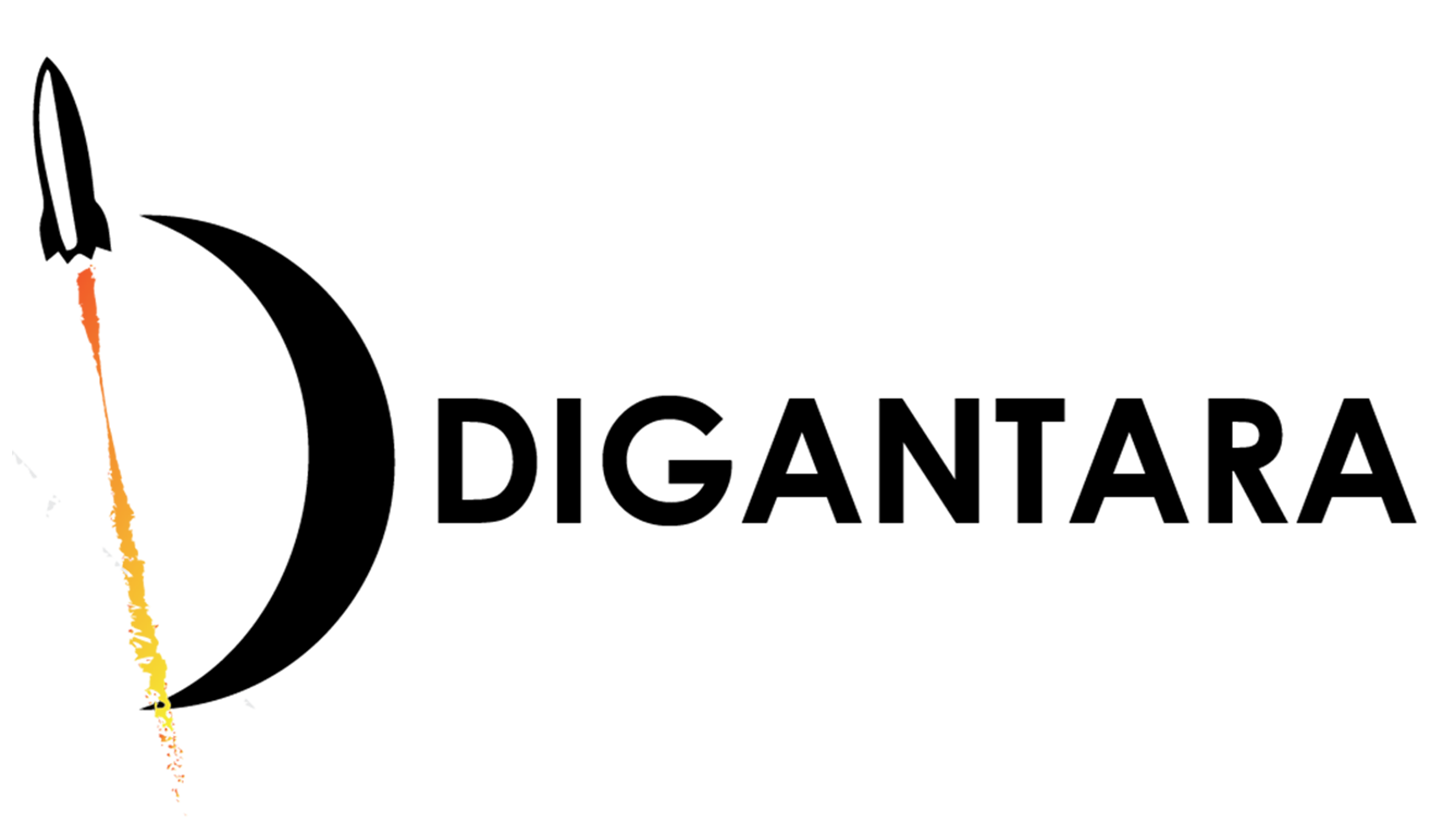Digantara Logo-Black.png