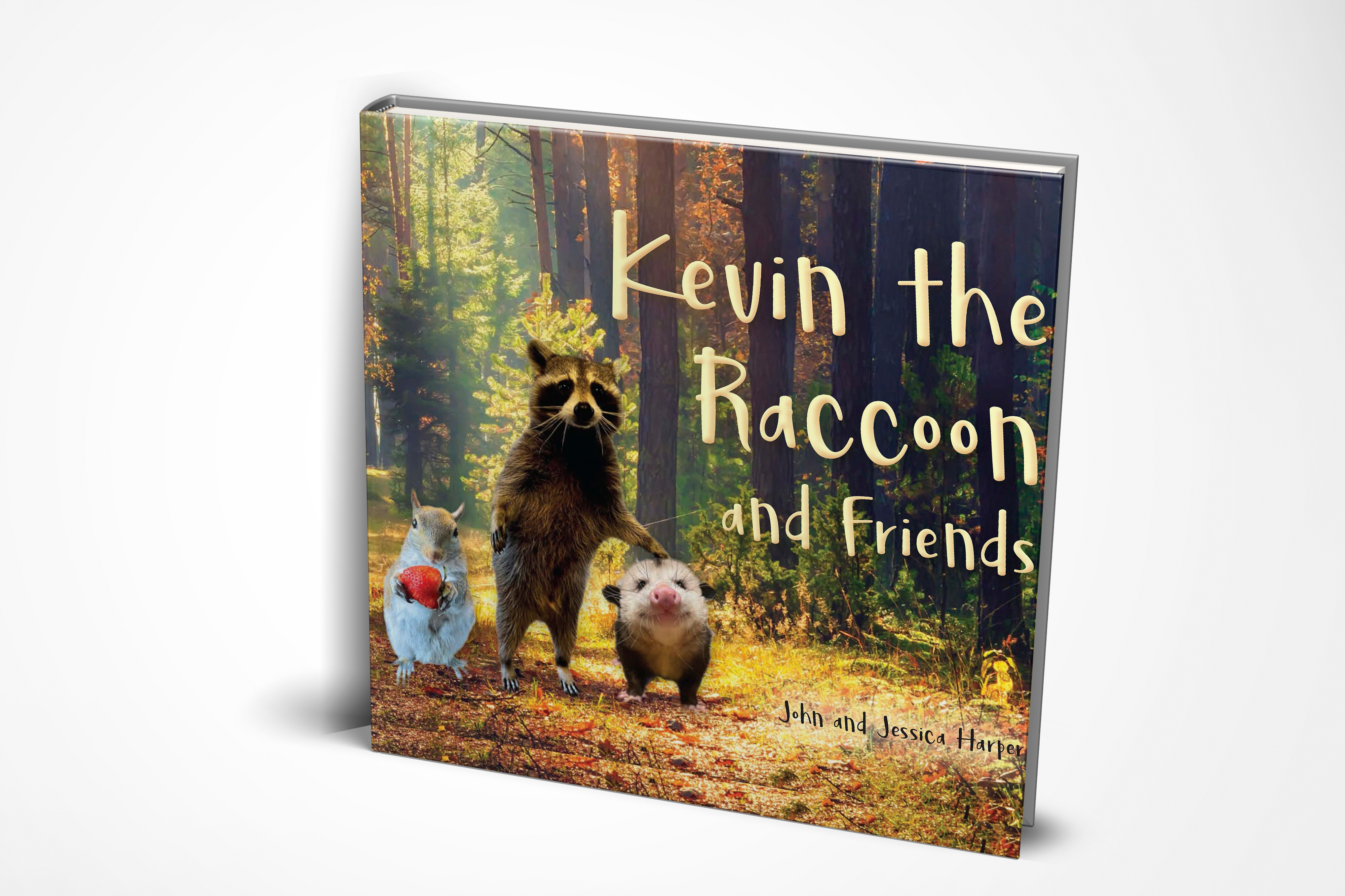 Kevin the Raccoon and Friends