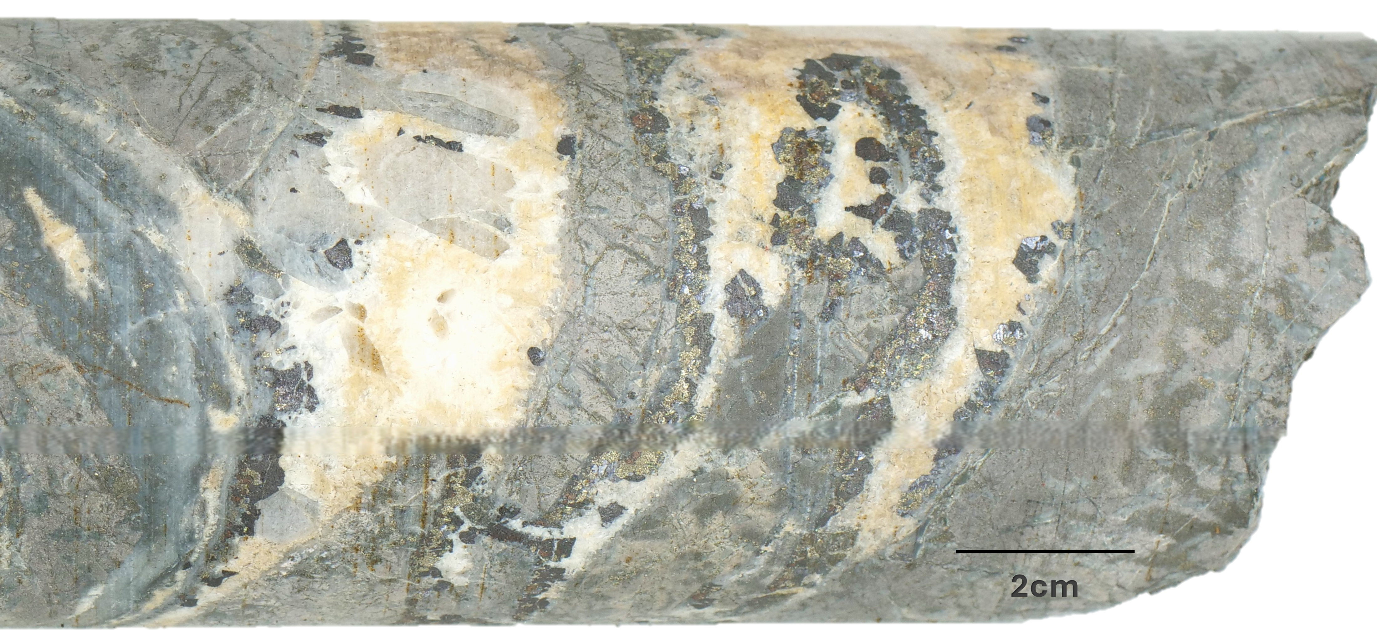 Figure 3 image