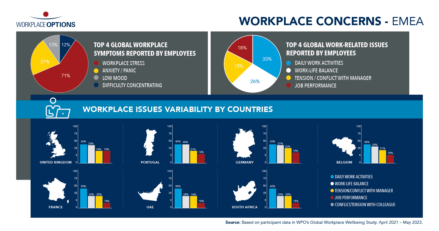 EMEA_WPO_Concerns_G2823