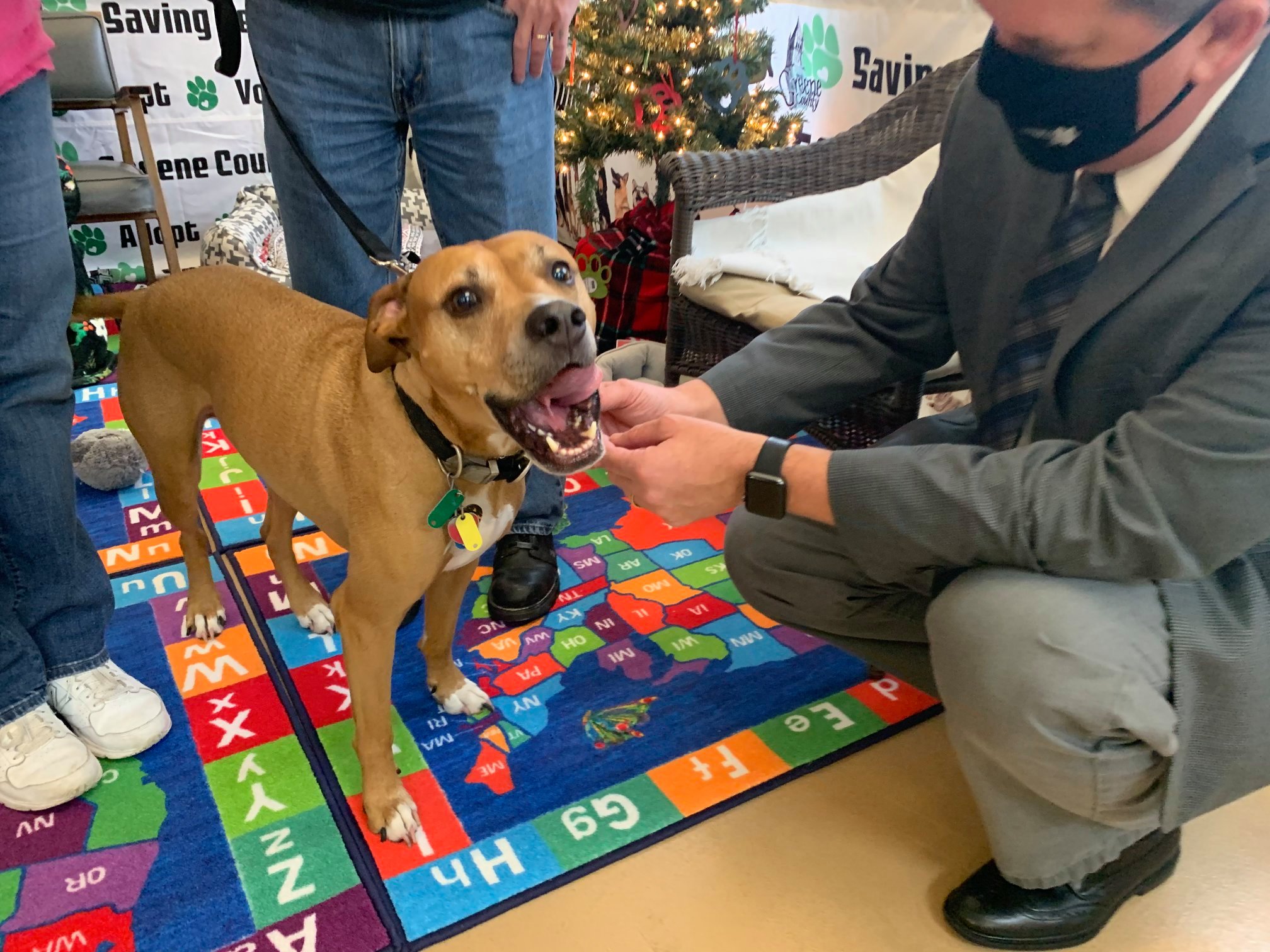 Participating Blue Buffalo Home 4 the Holidays partner org., Greene County Animal Control, received this year’s $25,000 campaign grant for creatively promoting orphan pets like Oliver and Loki!