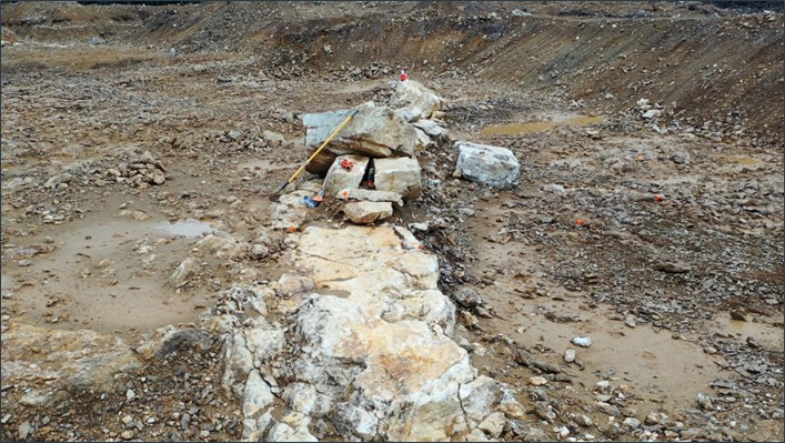 Picture 1: Typical quartz vein sampled at the LGZ