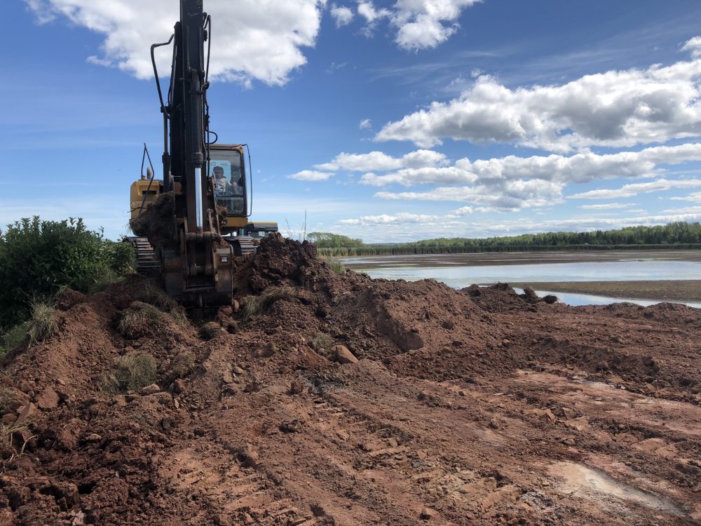 Levelling the dike in late summer. © DUC