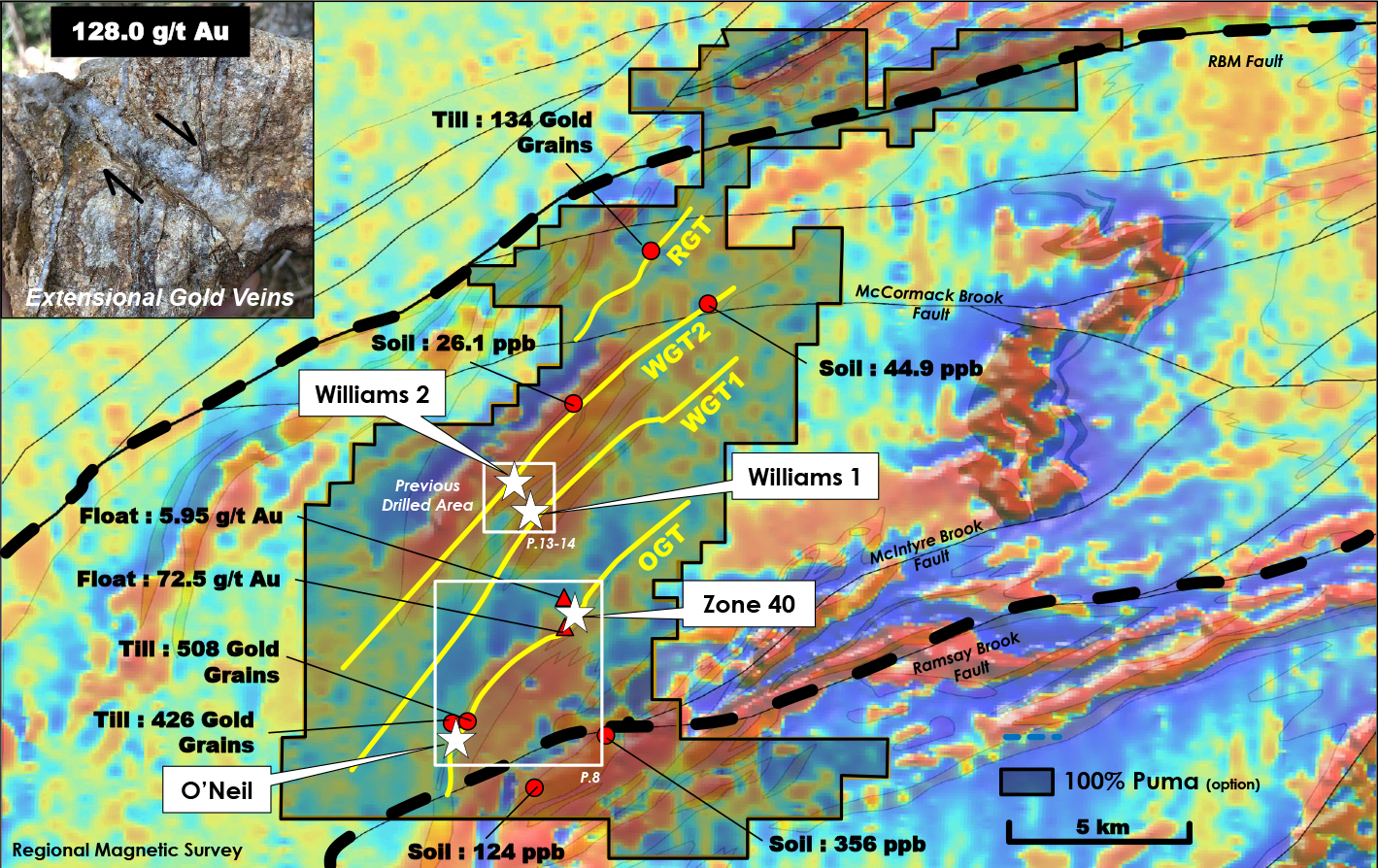 Figure 2: Main Gold Trends on the Williams Brook Property