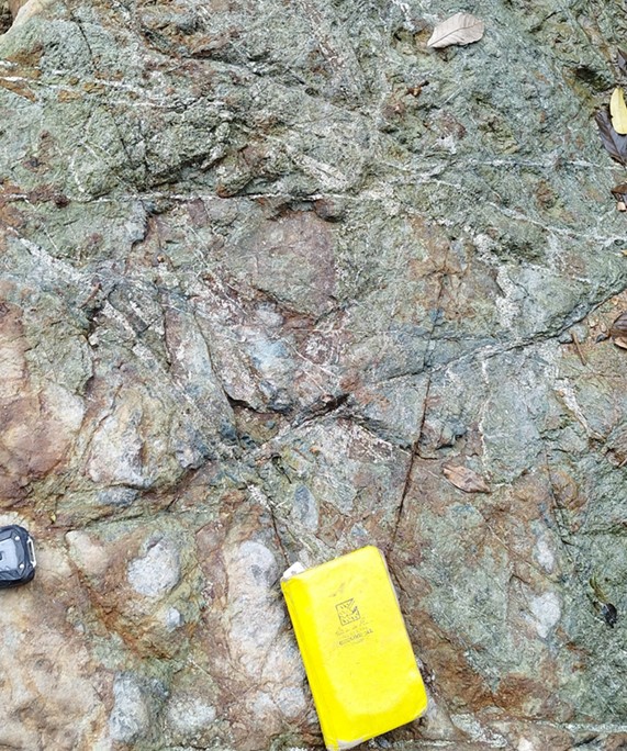 Figure 2 - Altered Quartz-Diorite Porphyry Outcrop Displaying Quartz-Pyrite-Chalcopyrite Stockwork with Secondary Chalcocite