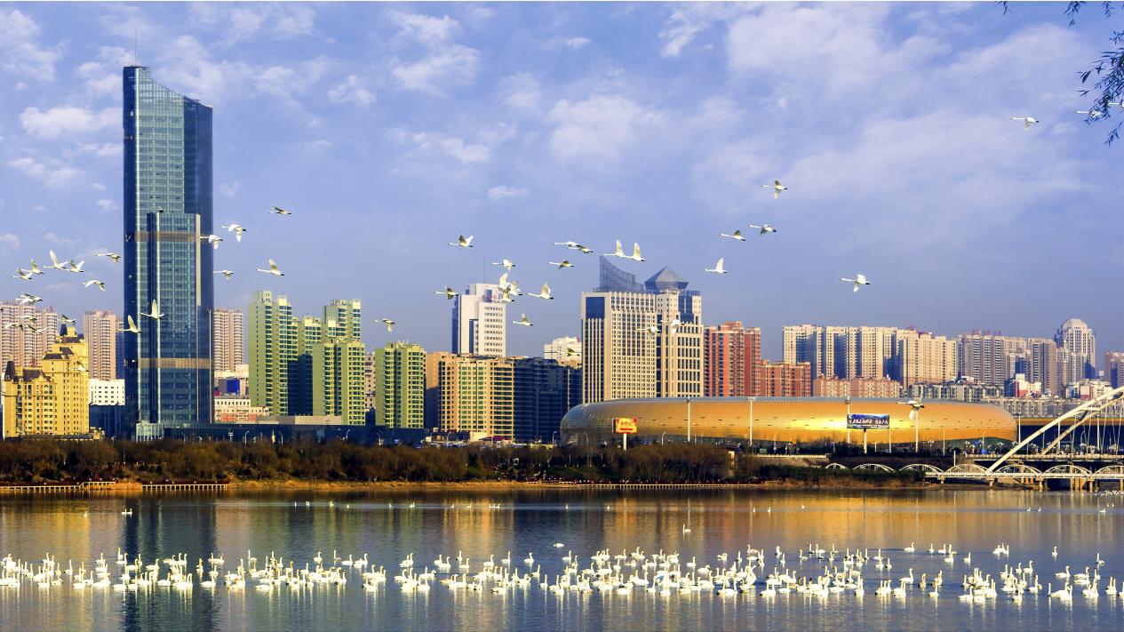 China's Laozi Digital Human Unveiled in Sanmenxia, Henan: Sanmenxia city