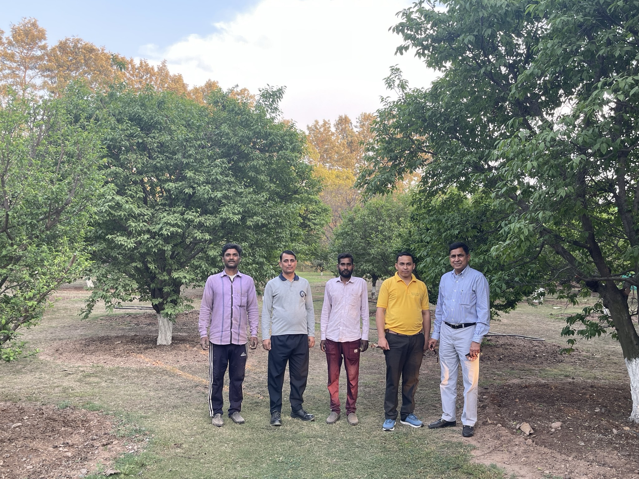 Cepham works closely with local communities and farmers in Himachal Pradesh to ensure responsible and sustainable harvesting of prune twigs for Prosprune. On far right, owner and chief farming officer, Pawan Goel stands with his farming team at Experimental Organic Farm who care for the Prunus domestica trees.