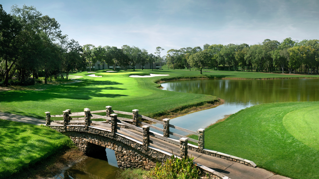 Montrose at Innisbrook - Townes Collection by Toll Brothers