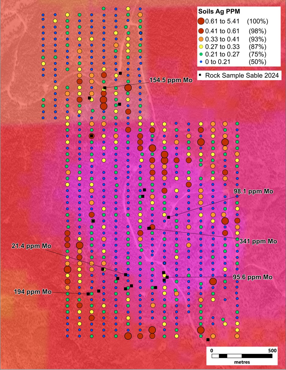 Distribution of Ag values from soil sampling at Copper Prince. Note the highlighted Mo values in rock samples and RTP magnetics in the background. 