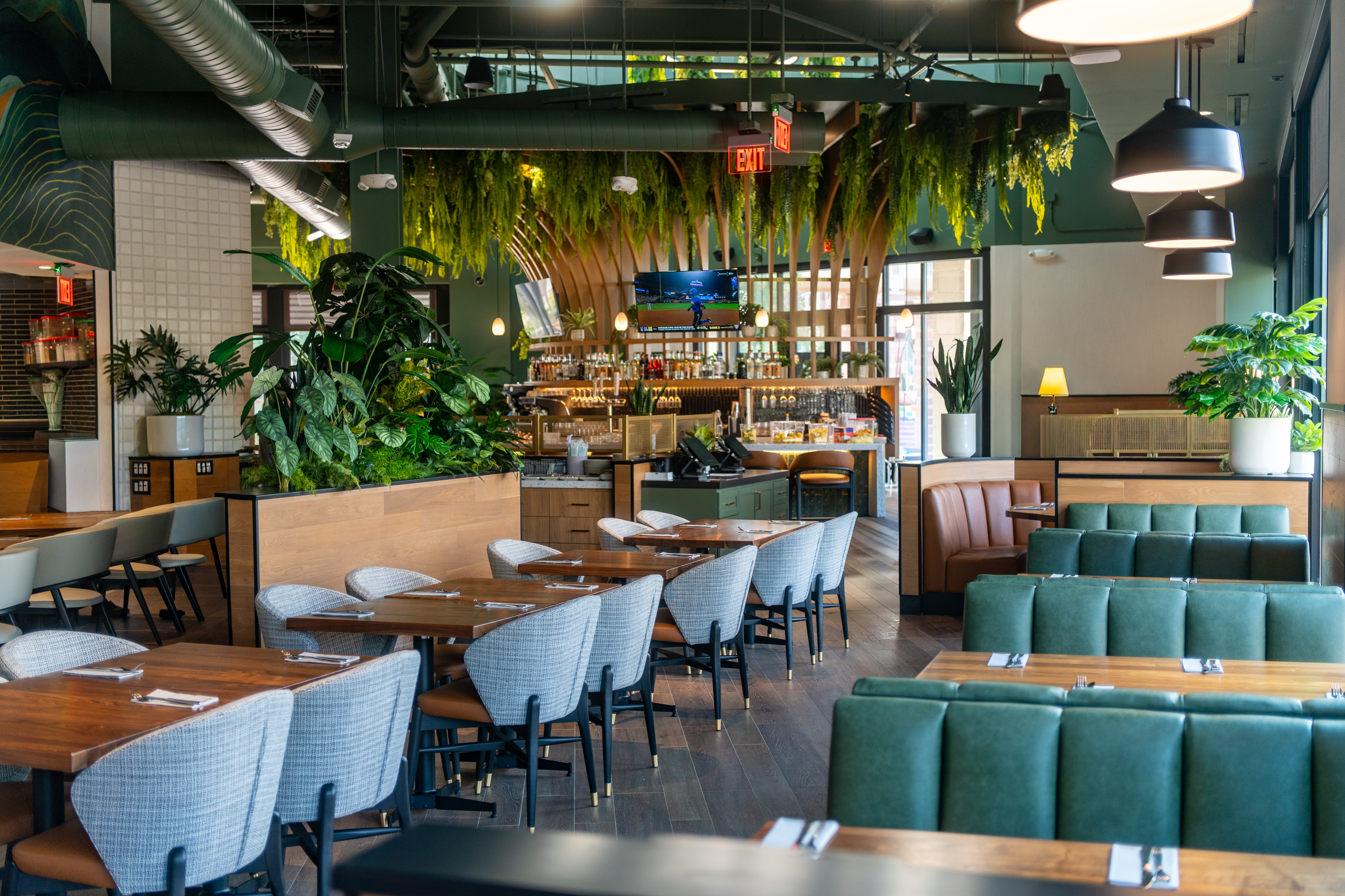 True Food Kitchen Boulder_Interior