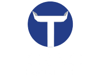 torino_logo.png