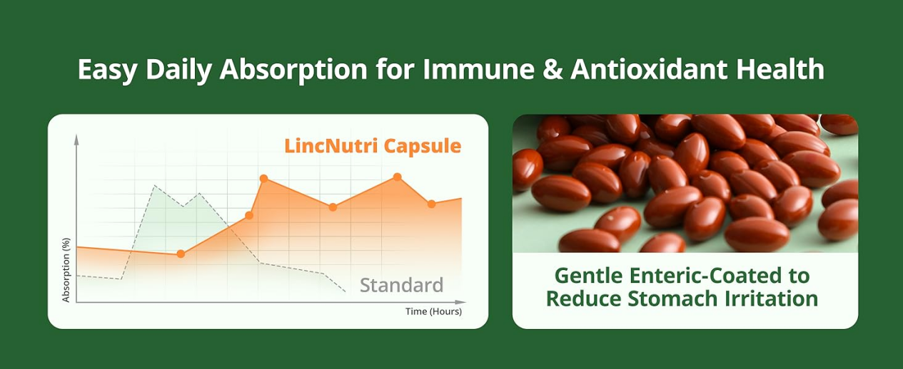 Graph showing enteric-coated capsule absorption over time. Gentle on stomach, designed for immune wellness and antioxidant health.