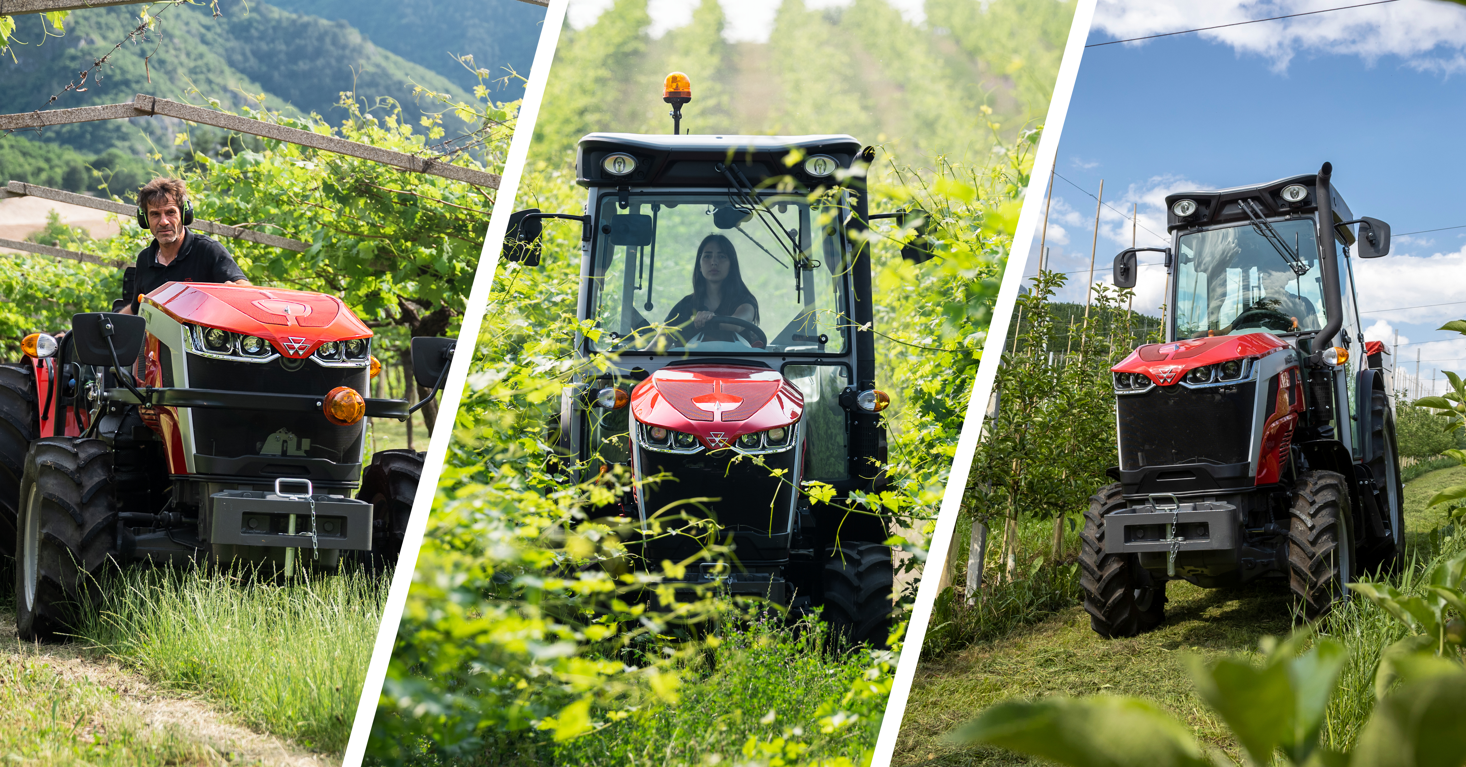 Massey Ferguson® Launches the MF 3 Series Specialty Tractor, a  High-Value-Per-Dollar Tractor Solution for Vineyards and Orchards -February  13, 2024 at 01:02 pm EST