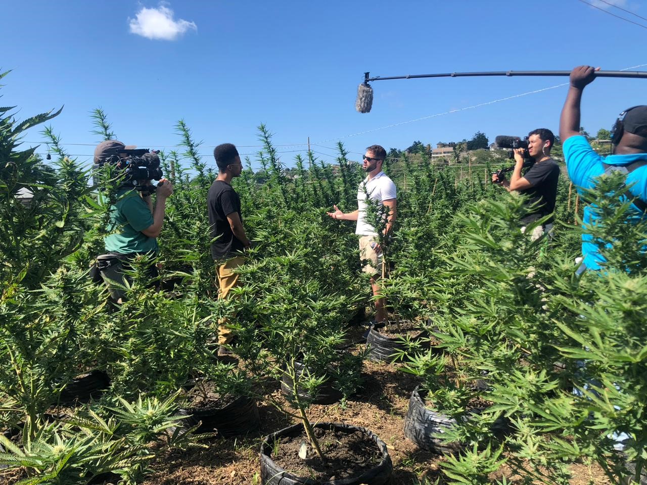 Paul Glavine, CEO, Global Canna Labs, speaks to Vice HBO at the Montego Bay site.