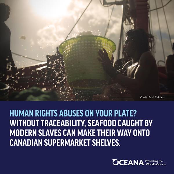Human rights abuses on your plate?