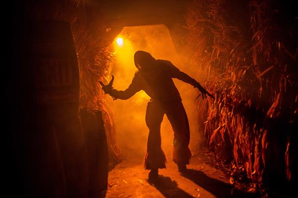 Terror awaits in the nine mazes at Halloween Haunt, including Cornstalkers.