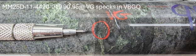 Figure 5. Visible gold showings in hole MM25D-11-4420-019. image