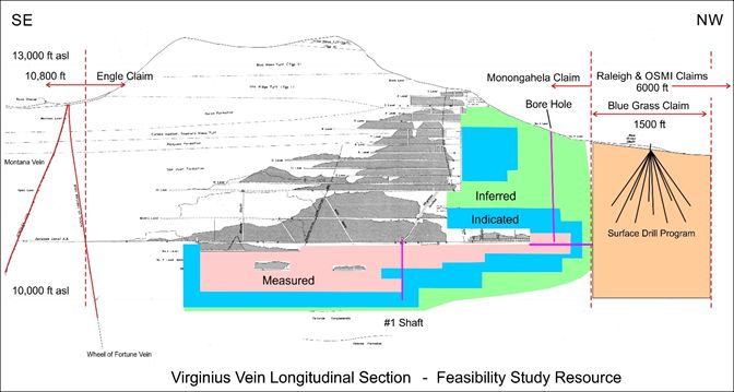 Virginius Vein Longitudinal Section - Feasibility Study Resource