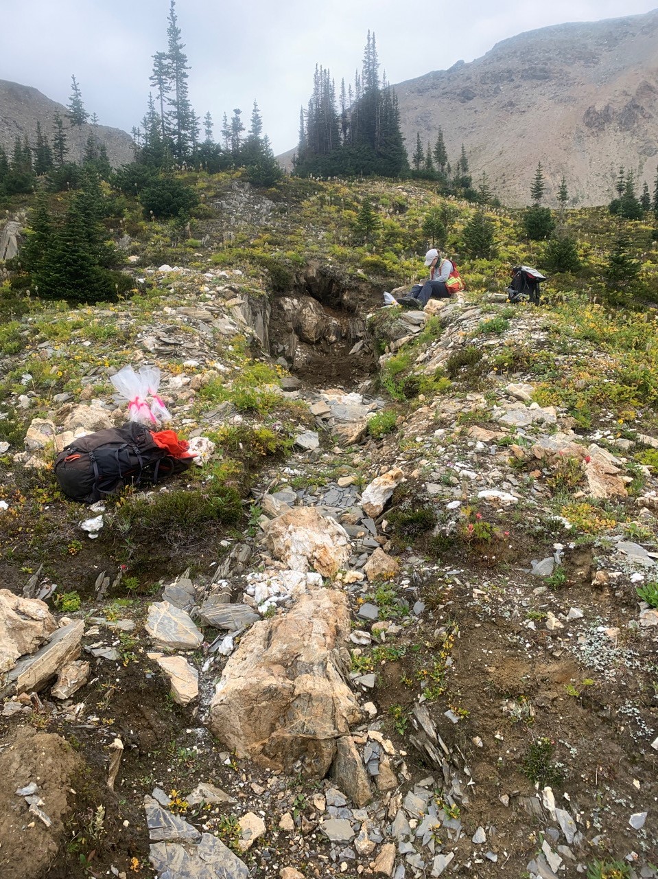 Figure 2: Historic Trench and site of Sample 148580