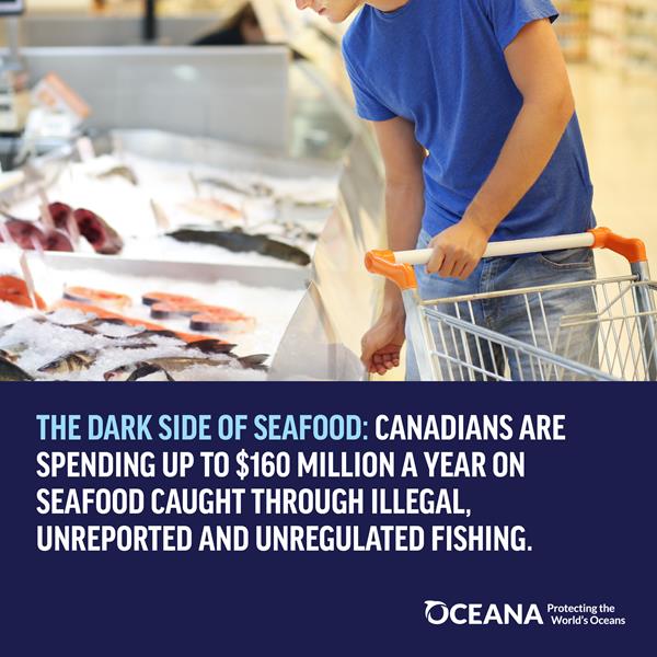 The dark side of seafood