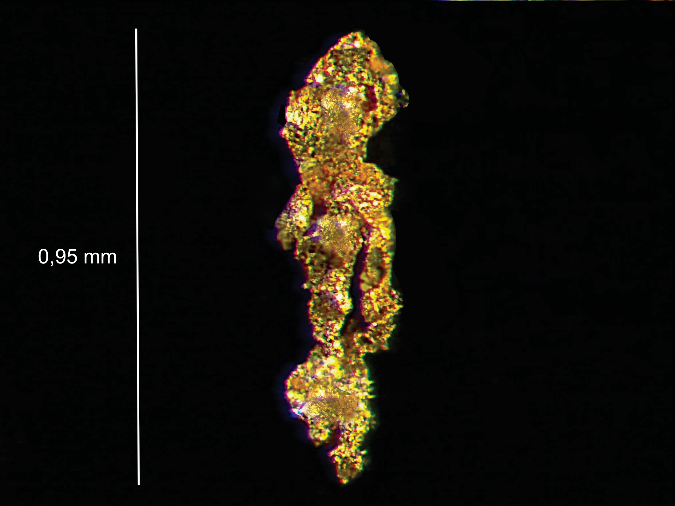 particule1 Scale