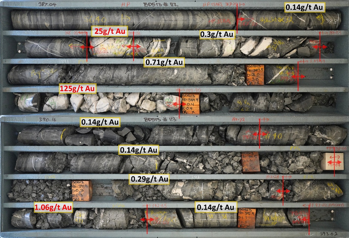 Tray photograph and gold grades of the Kiwi Zone in drillhole BD513. The mineralisation is quartz-dominated in contrast to the upper Brunswick South structure, and occurs at a low angle to the west-dipping bedding, following the Kiwi Fault plane. This is dissimilar to K-R mineralisation beneath Brunswick Main where vertical veins are bound between the hangingwall and footwall planes of the fault slice due to the flattening of the Kiwi and Rooster Fault structures, being more aligned with a Youle-like geometry. 