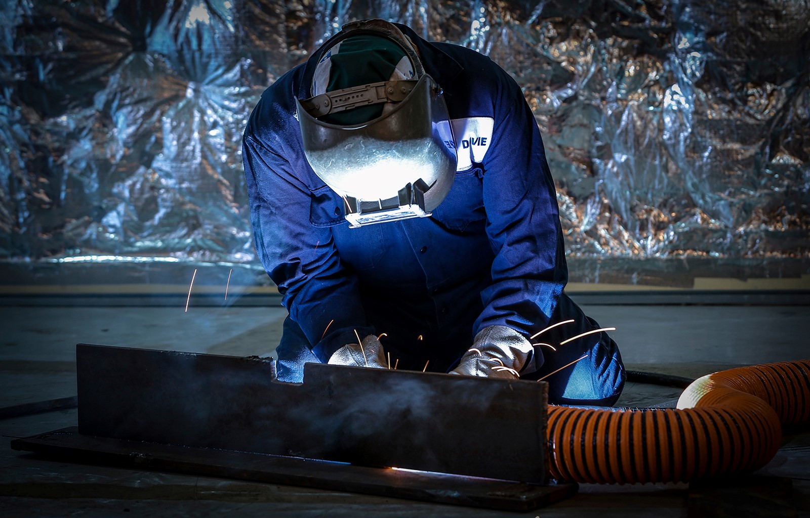 Chantier Davie Canada Inc. 