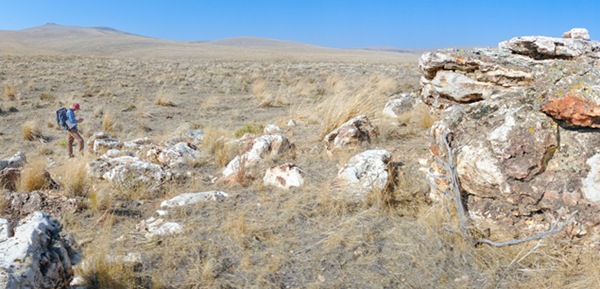 Figure 1-  Outcrop of opalized sediments and silica sinter at the Big Opal target area, Midas North Project, Nevada.