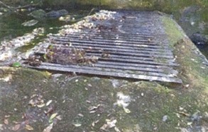 Before 2018 Hurricanes Damage