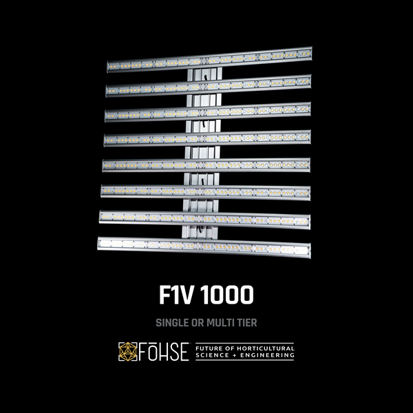 F1V1000