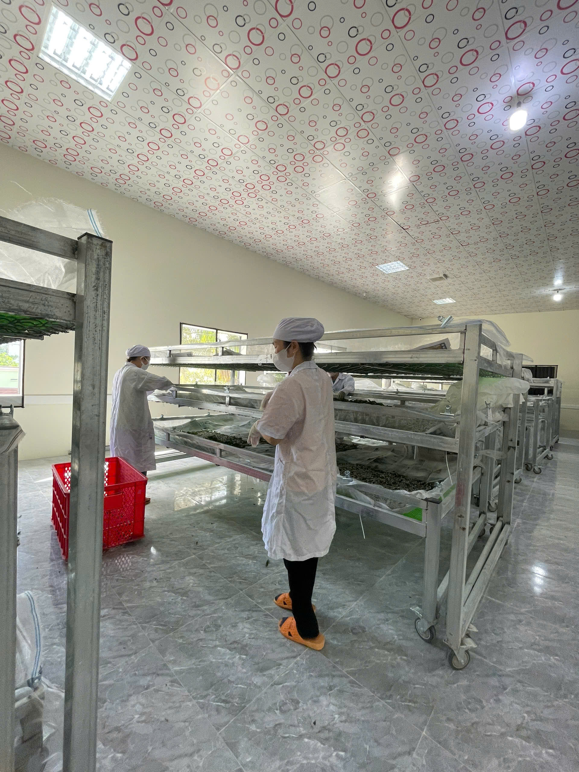 Kraig Labs Exceed Spider Silk Production Yield Targets (2)