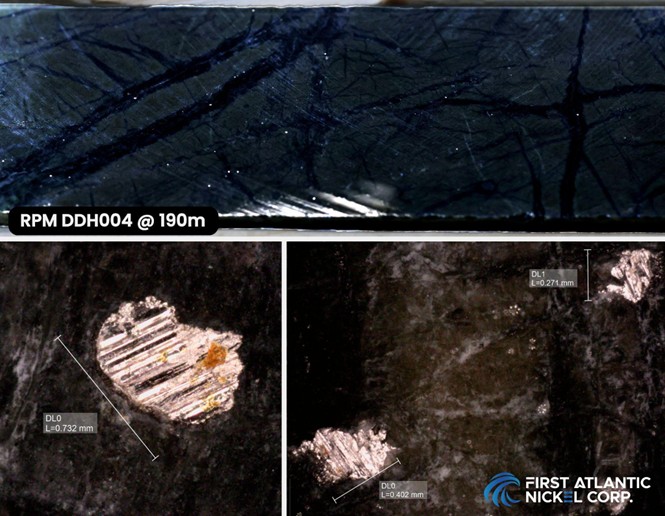 RPM Hole 4 Drill Core (AN-24-05) at 190 meters depth. Top image: Drill core showing disseminated awaruite (sulfur-free nickel alloy), in serpentinized ultramafic peridotite within the RPM Zone. Bottom images: Awaruite grains from 190 meters depth (up to 732 microns) under microscope, with saw blade streaks visible due to ductile, highly-magnetic nature of awaruite.