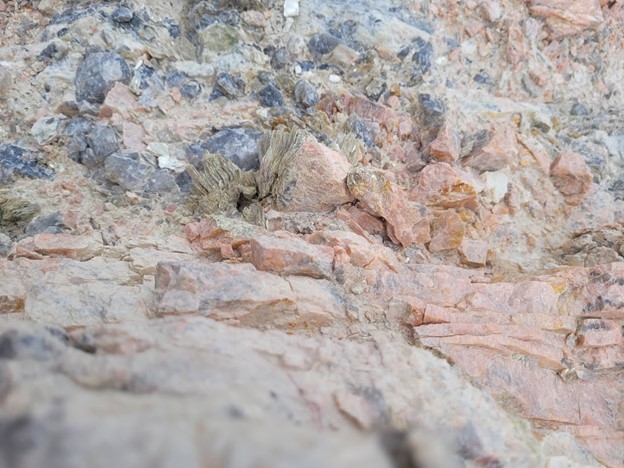 Potassium feldspar, smokey to rose quartz and micas in pegmatite, Liberty Lithium Project, Black Hills, South Dakota