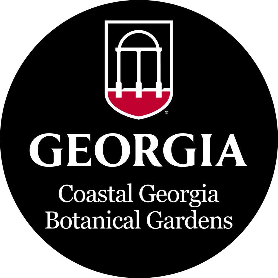 RIVERS OF IRIS BLOOM