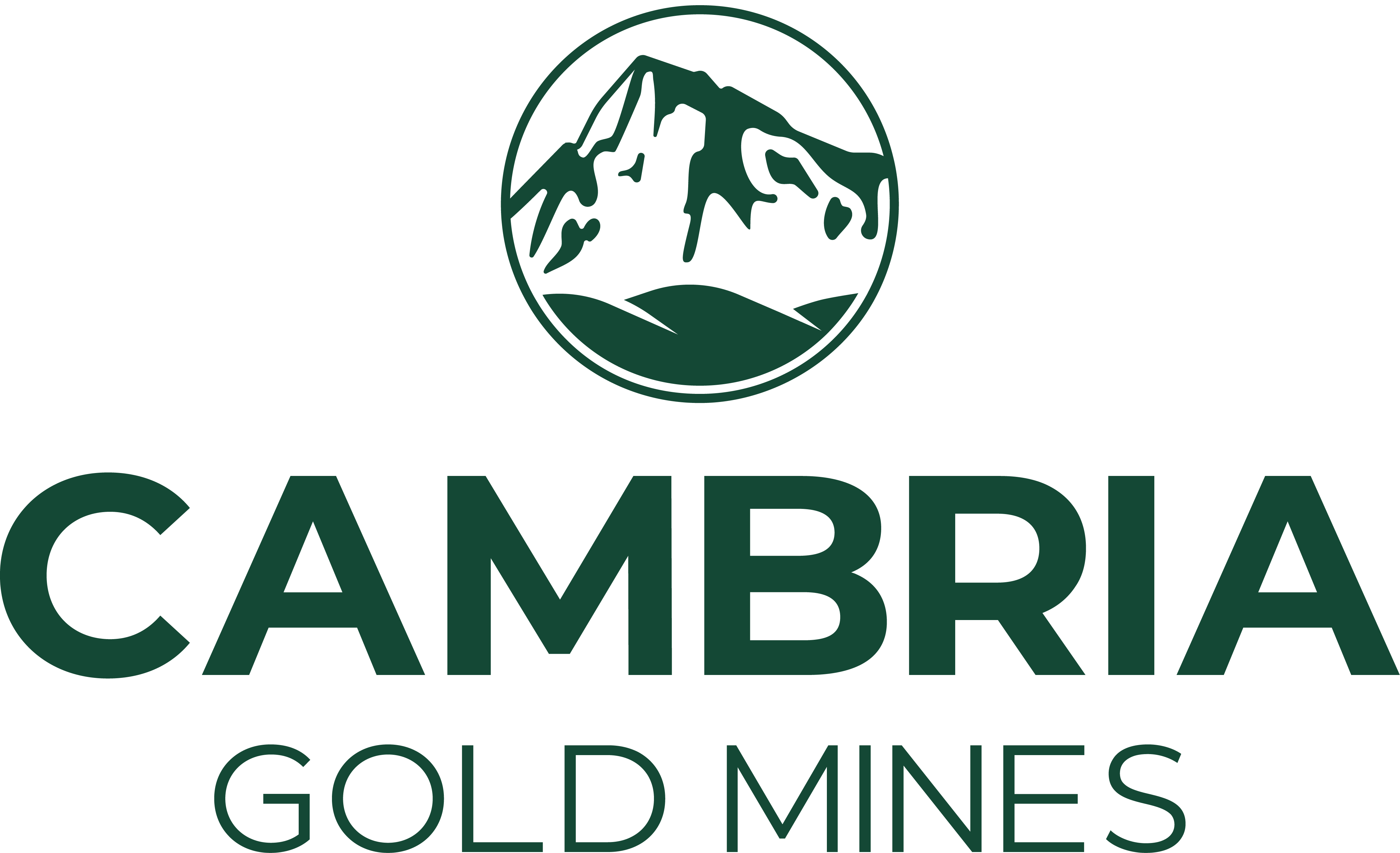 Cambria Gold Mines to Retain Mt. Margaret Copper-Gold Porphyry in Portfolio; Announces New Director Kim Colloton and Cleve Rueckert as VP Corporate Development and Announces Equity Grants