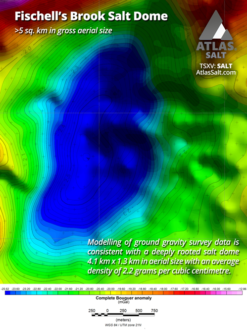 Fischell’s Brook Salt Dome Gravity Survey Data