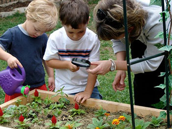 ChildCare Education Institute Offers No-Cost Online Course on Outdoor STEAM Activities and Project Based Learning